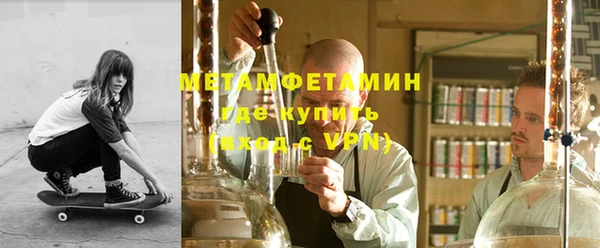 индика Волоколамск